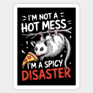 Spicy Disaster Possum Magnet